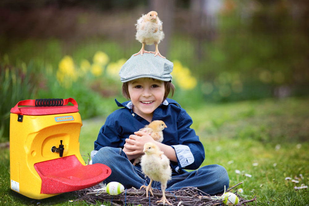 Importance of children washing hands after handling chicks