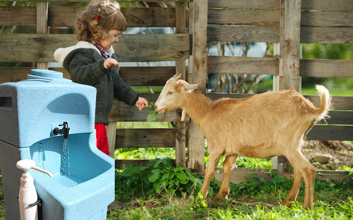 Why soap and water hand washing is essential for everyone after animal contact