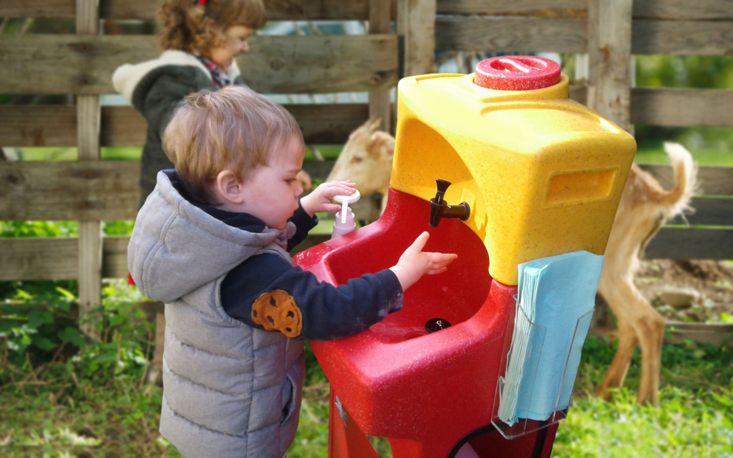 Children must wash hands with soap and water when participating in Open Farm Sunday